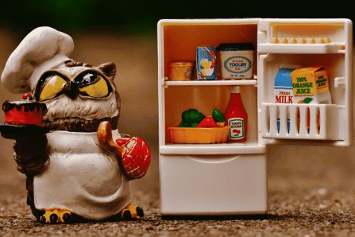 大阪市で信頼できる不用品回収業者を選ぶポイント